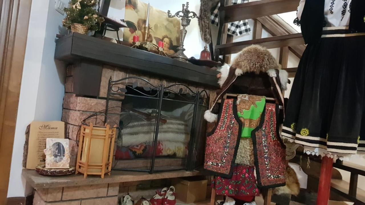 Cabana Rustic Borşa エクステリア 写真