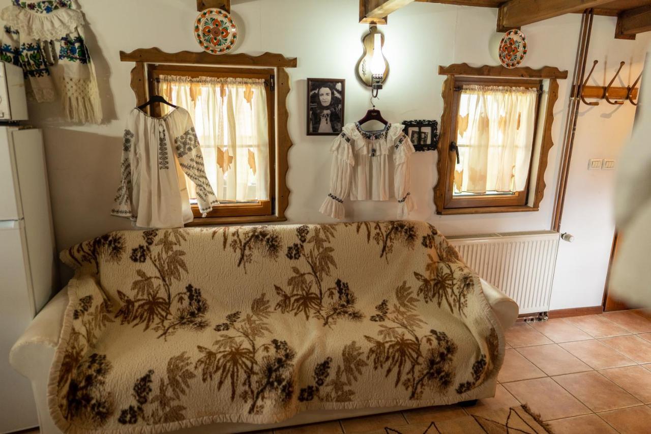 Cabana Rustic Borşa エクステリア 写真