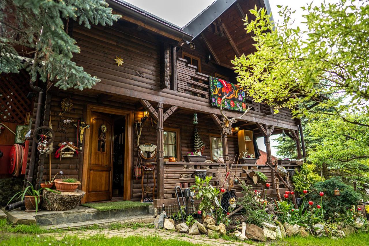 Cabana Rustic Borşa エクステリア 写真