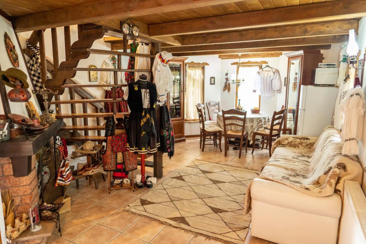 Cabana Rustic Borşa エクステリア 写真