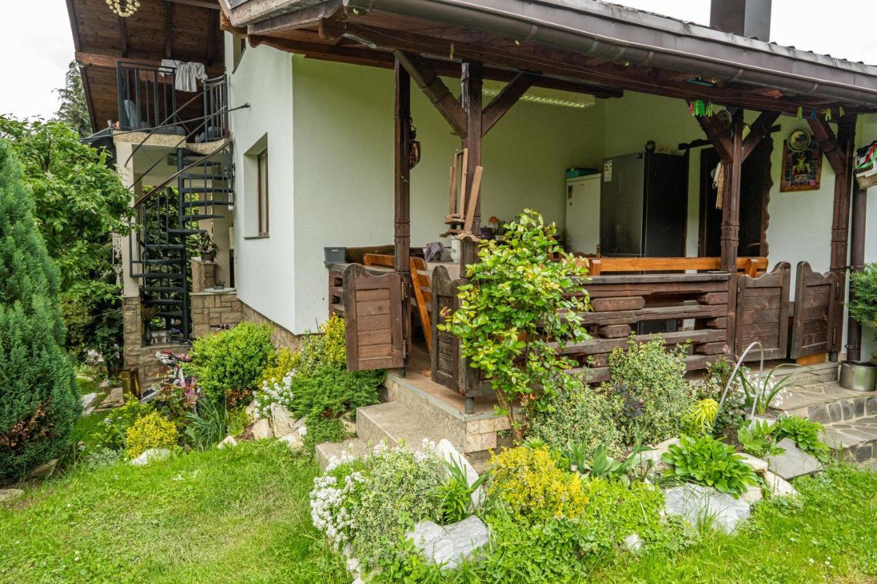 Cabana Rustic Borşa エクステリア 写真