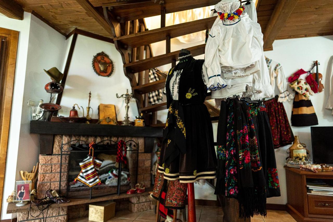 Cabana Rustic Borşa エクステリア 写真