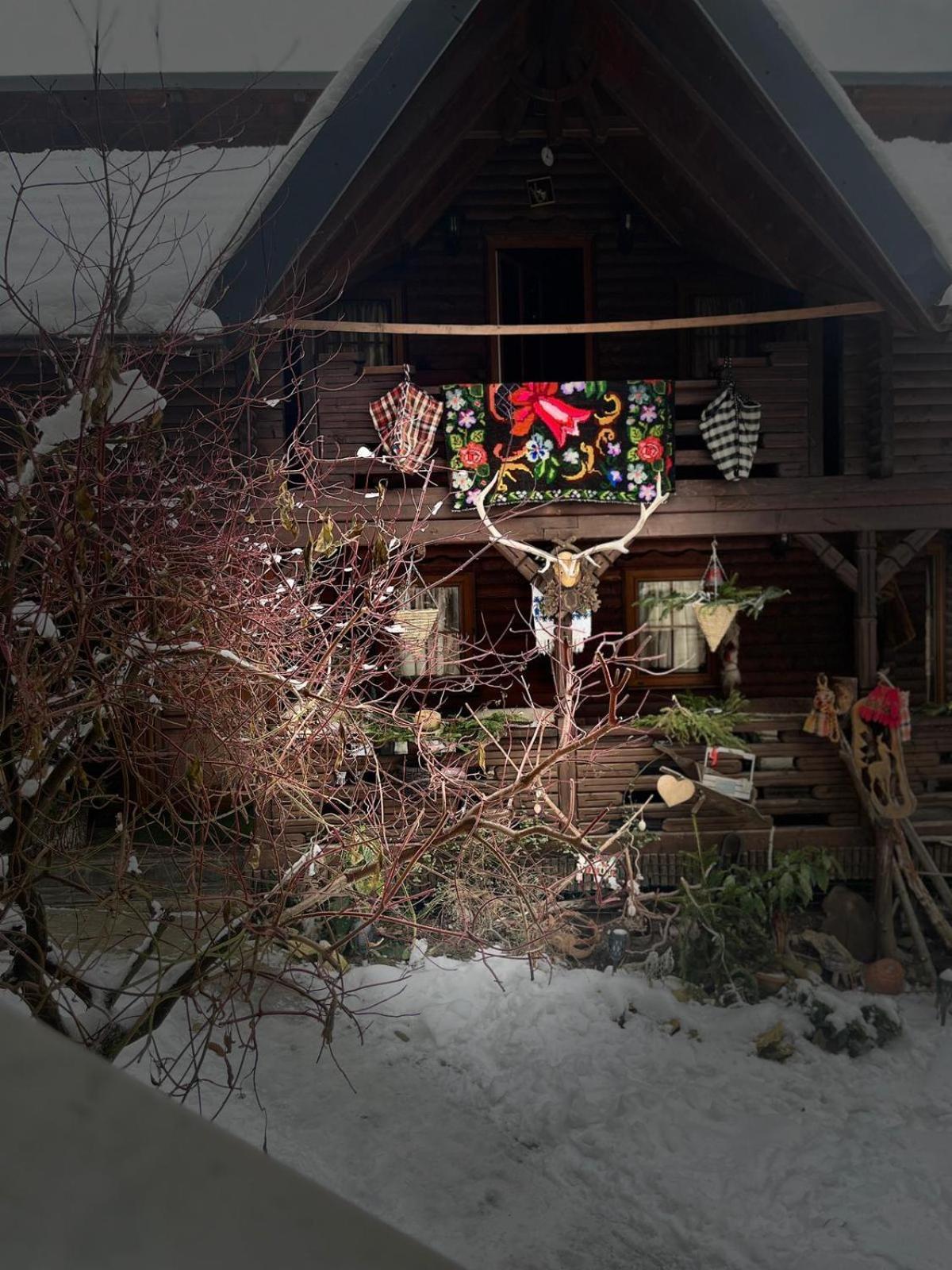 Cabana Rustic Borşa 部屋 写真