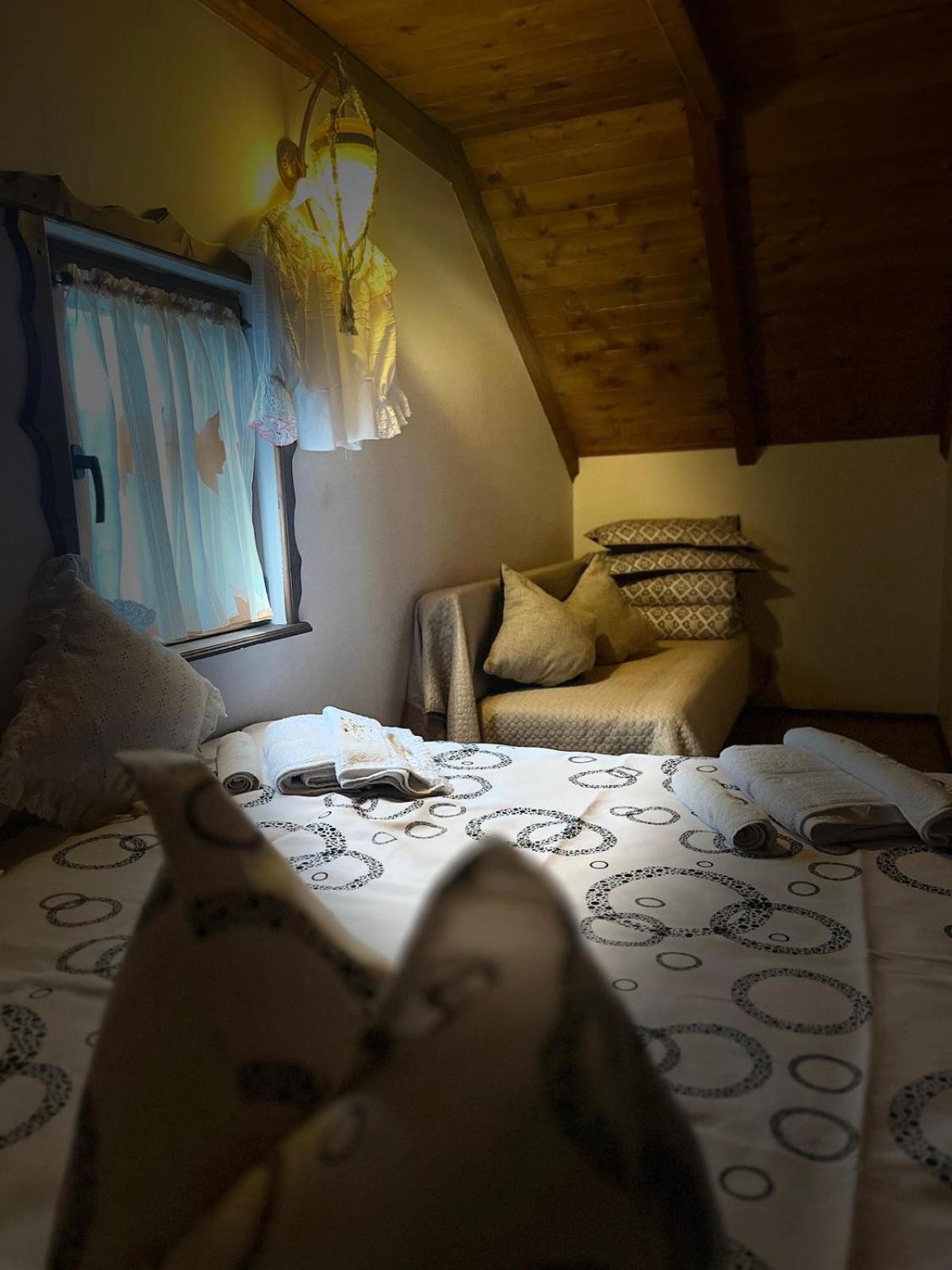 Cabana Rustic Borşa 部屋 写真
