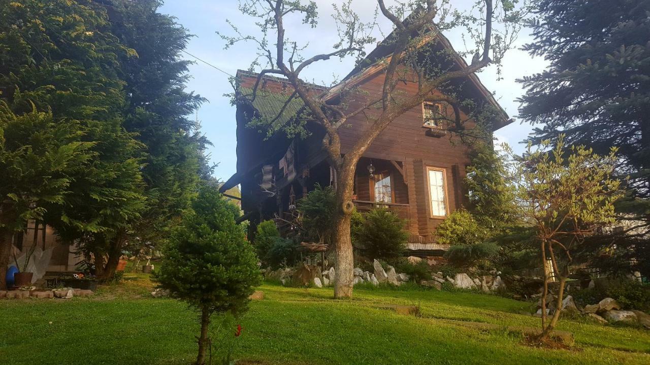 Cabana Rustic Borşa エクステリア 写真